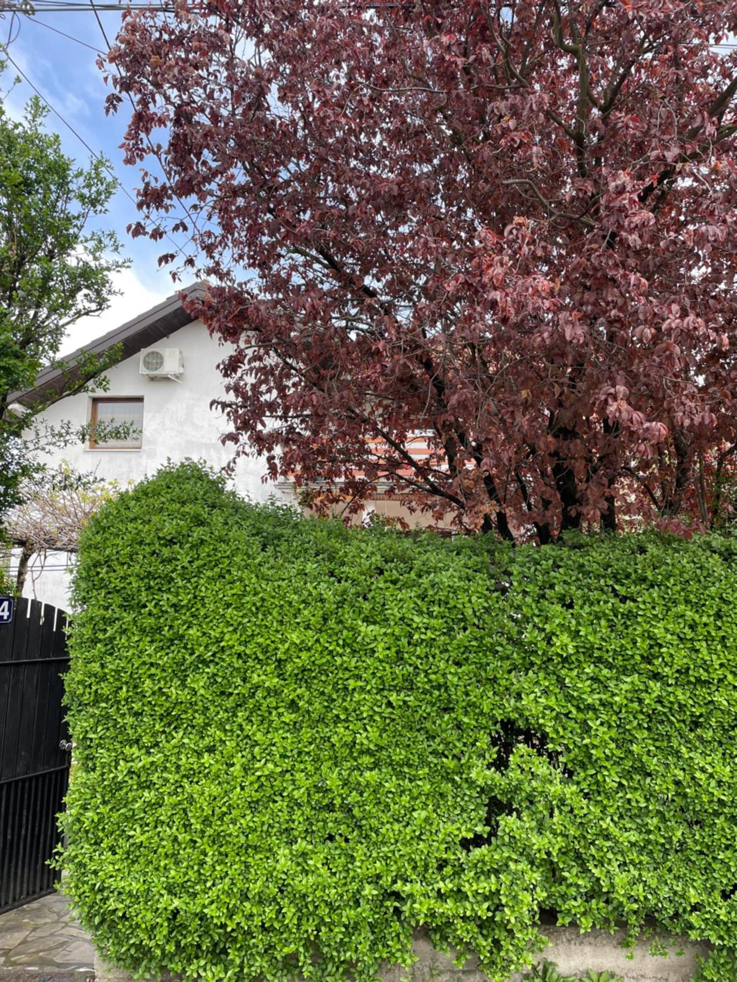 Apartment 5min Airport Surcin
